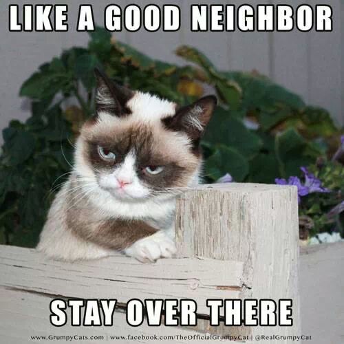 grumpy cat knows